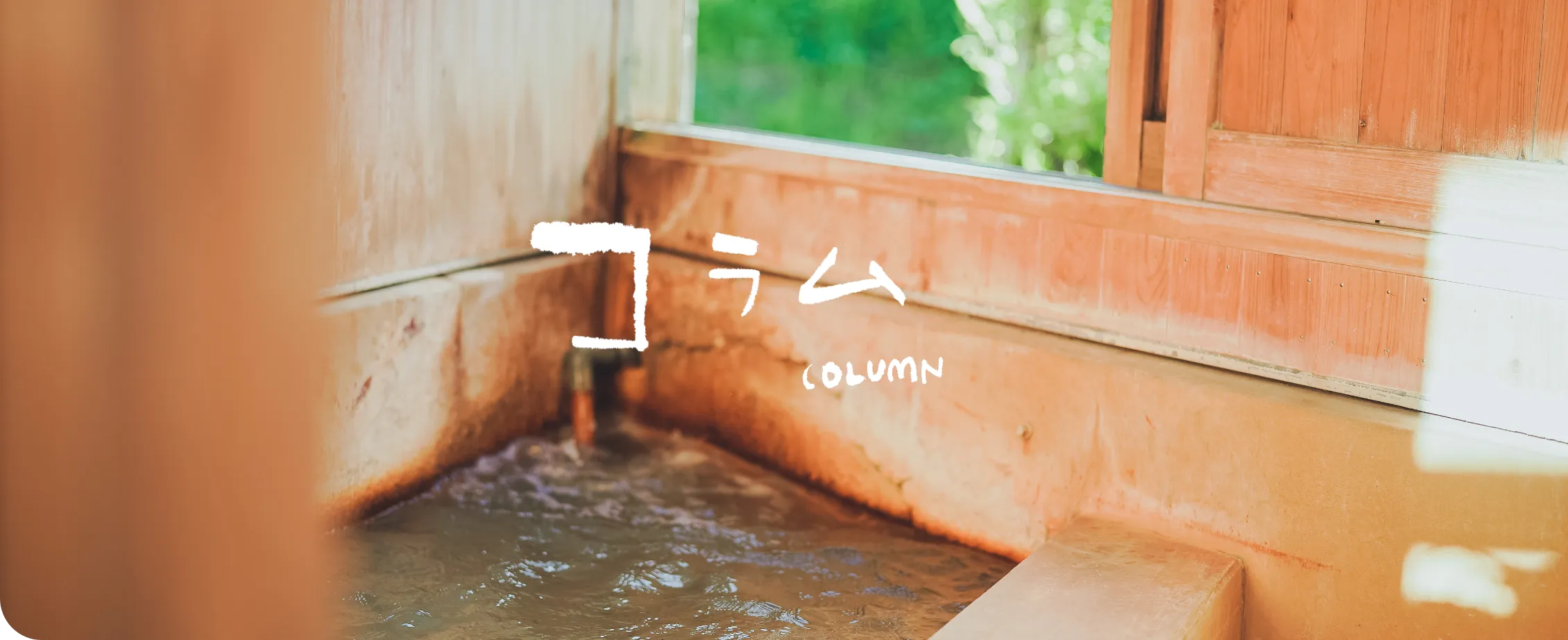コラム